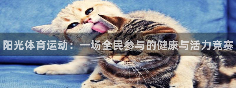 oety欧亿体育官网下载平台是正规平台吗安全吗:阳光体育运动