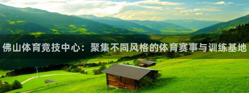 oety欧亿体育官网下载招商电话:佛山体育竞技中心:聚集不同