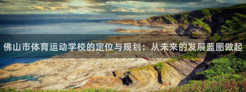 注册欧亿体育官方正版app:佛山市体育运动学校的定位与规划: