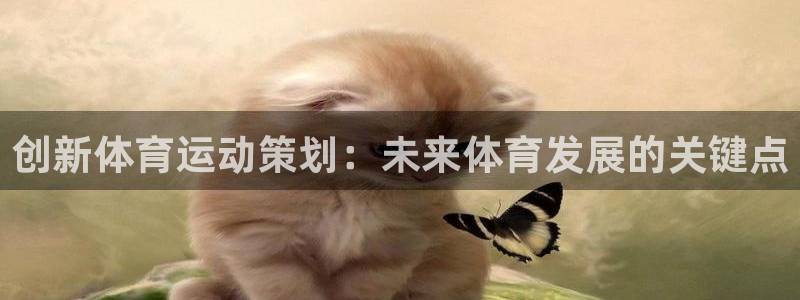 欧亿体育官方正版app娱乐代理怎么样:创新体育运动策划:未来