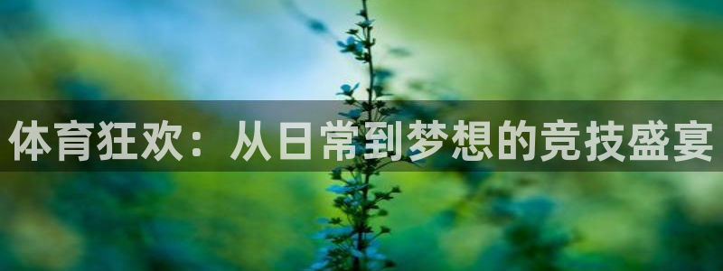 oety欧亿体育官网下载招商电话:体育狂欢:从日常到梦想的竞