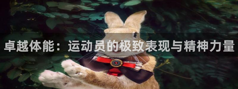 oety欧亿体育官网下载软件:卓越体能:运动员的极致表现与精