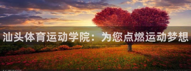 欧亿体育官方正版app集团简介:汕头体育运动学院:为您点燃运