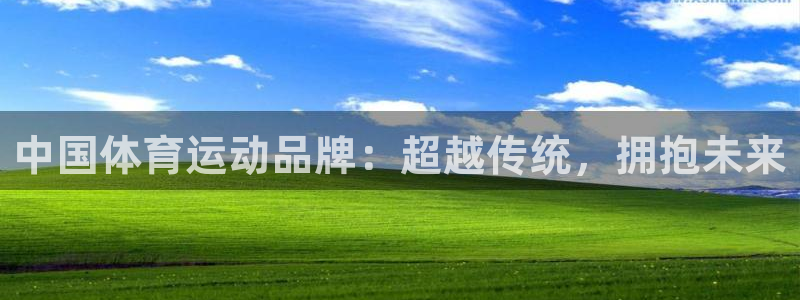 oety欧亿体育官网下载:中国体育运动品牌:超越传统,拥抱未